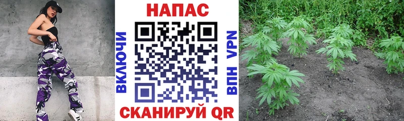 даркнет сайт  Тотьма  Бошки Шишки Bruce Banner 
